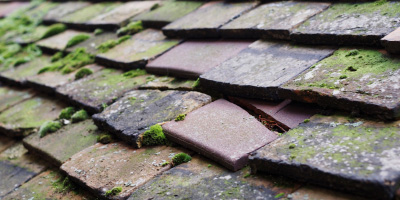 Northend roof repair costs